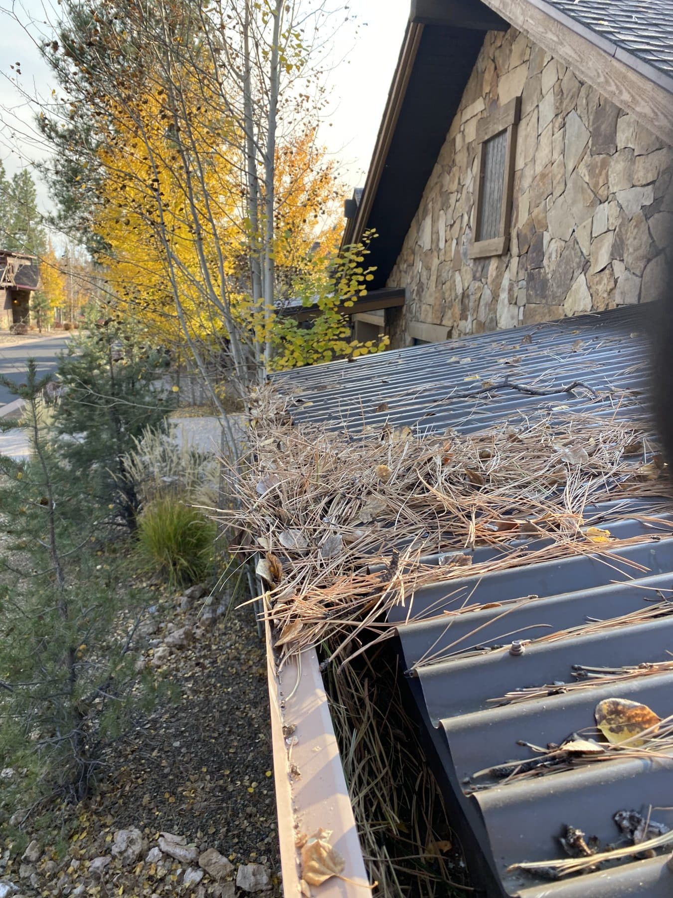 Gutter work by ACME Gutter Co. in Flagstaff, AZ